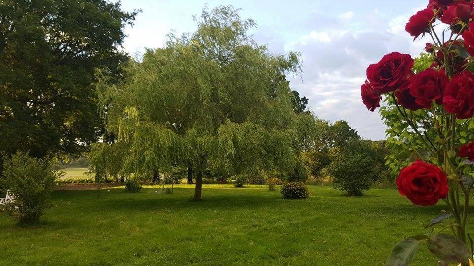 La Berceenne Jupilles ภายนอก รูปภาพ